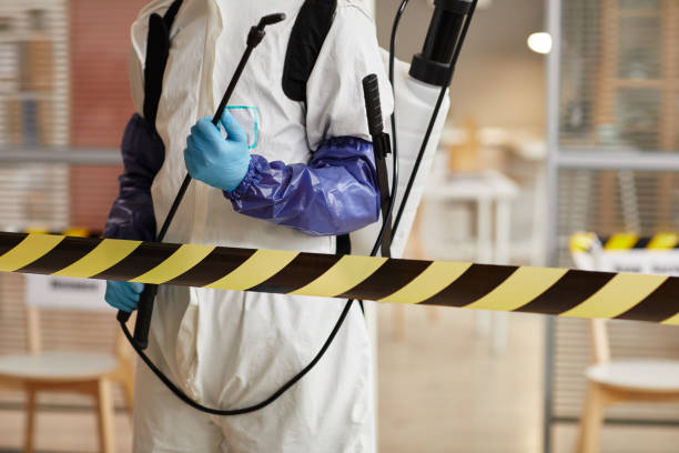 Professional Sewage Cleanup technician working in West Lebanon, NH